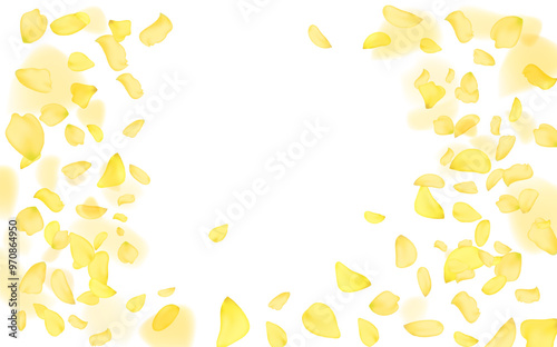 Yellow falling rose or sunflowers petals.Transparent panoramic horizontal background.Amber flower spring template.