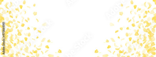 Yellow falling rose or sunflowers petals.Transparent panoramic horizontal background.Amber flower spring template.