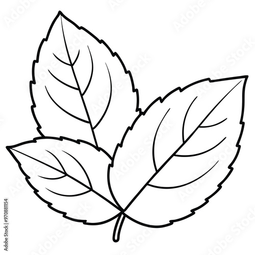 Mint leaf clip art, vector illustration on white background.