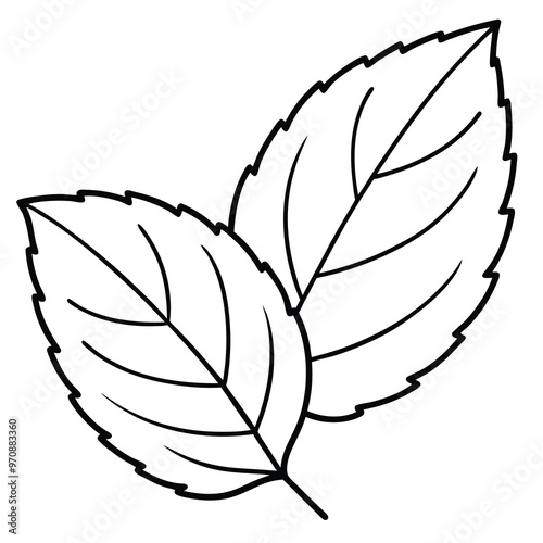 Mint leaf clip art, vector illustration on white background.