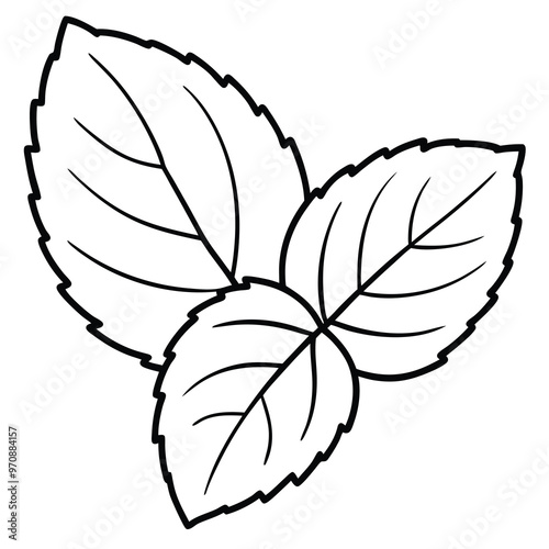 Mint leaf clip art, vector illustration on white background.