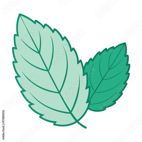 Mint leaf clip art, vector illustration on white background.