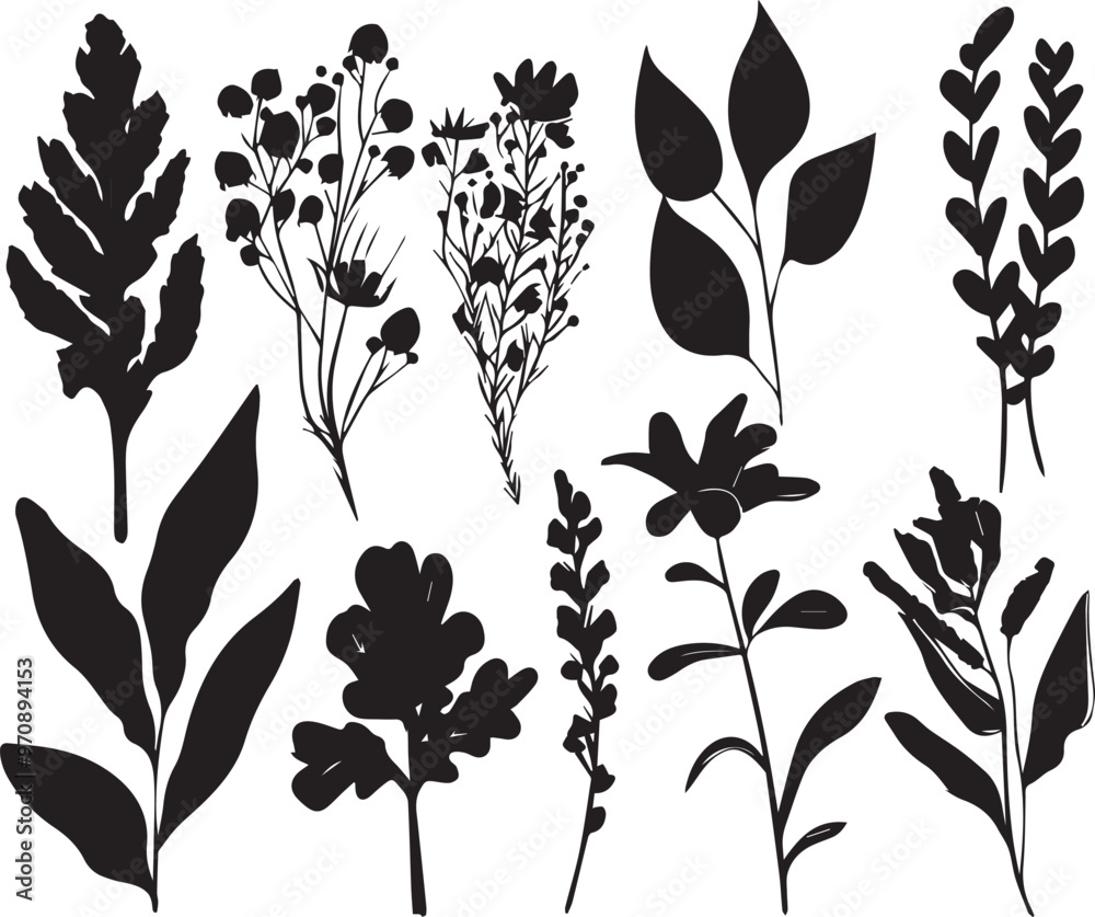 Set plants. Hand drawn vector illustration Set plants. Hand drawn vector illustration