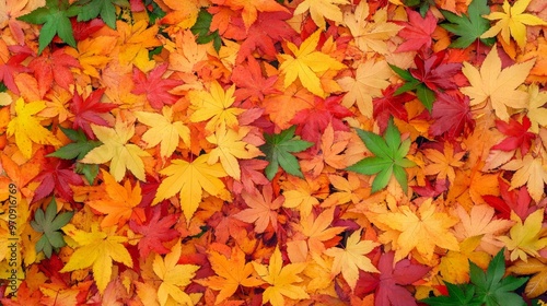 Beautiful cute maple leaves wallpaper background.