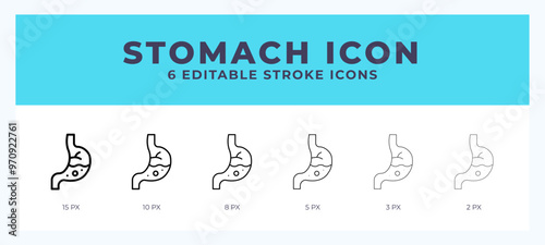 Stomach line icon for websites and apps. Vector illustration with editable stroke.