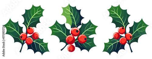 Christmas holly berry with leaves. Christmas plants. Christmas decorations. Vector illustration.