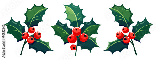 Christmas holly berry with leaves. Christmas plants. Christmas decorations. Vector illustration.