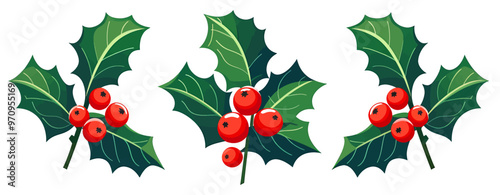 Christmas holly berry with leaves. Christmas plants. Christmas decorations. Vector illustration.