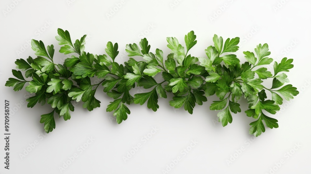 Parsley (dried) clipart, element, 3D illustration, realistic, isolated on white background