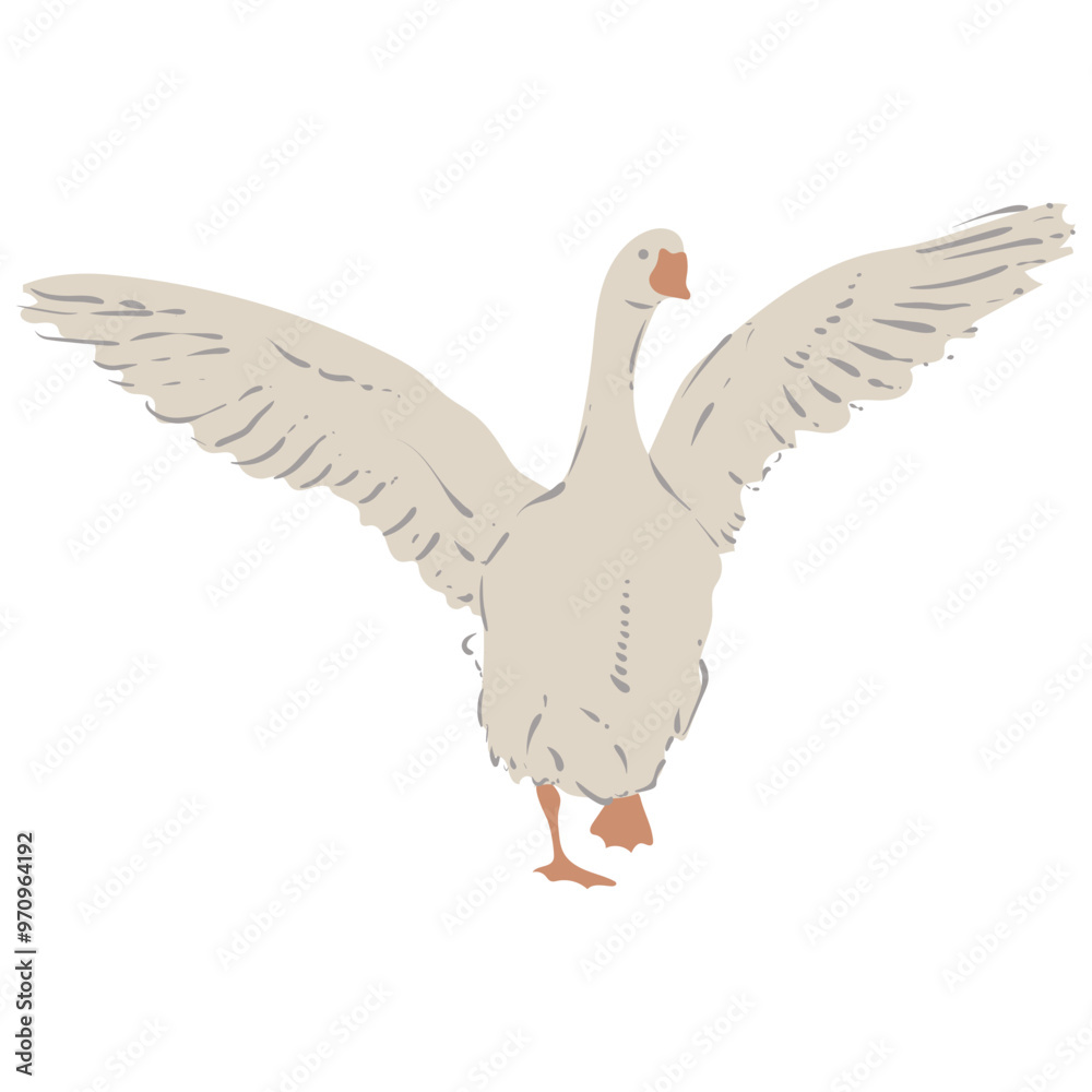 Obraz premium Goose, white bird with red paws and beak. Vector isolated image of farm bird.