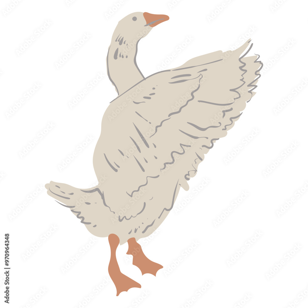 Obraz premium Goose, white bird with red paws and beak. Vector isolated image of farm bird.