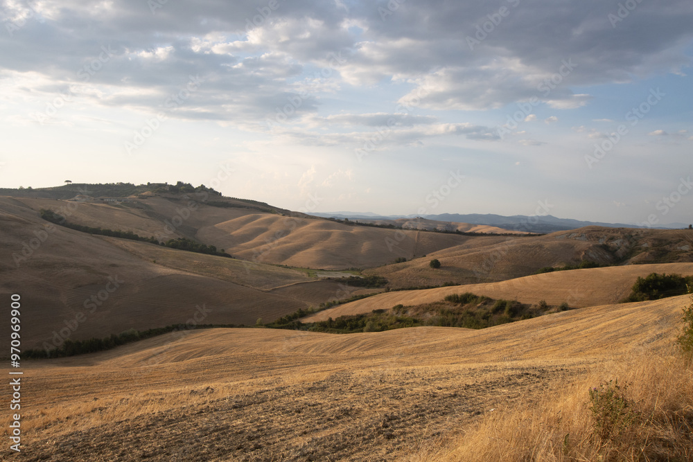 Rolling hills in golden hues under soft sunlight. Minimal greenery in the foreground, Rolling hills with golden fields, mountain range in the background, sparse vegetation Rolling hills in golden hues under soft sunlight. Minimal greenery in the foreground, Rolling hills with golden fields, mountain range in the background, sparse vegetation