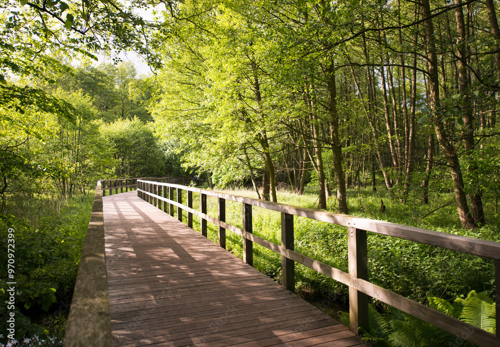 Naturschutzgebiet im Sommer im Landkeis Potsdam Mittelmark Naturschutzgebiet im Sommer im Landkeis Potsdam Mittelmark
