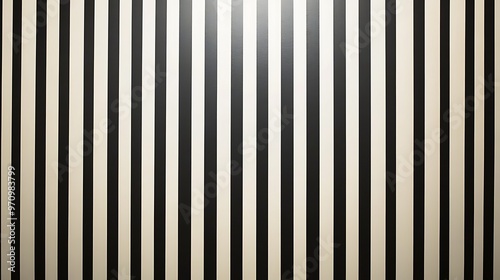 Black and White Vertical Striped Wall