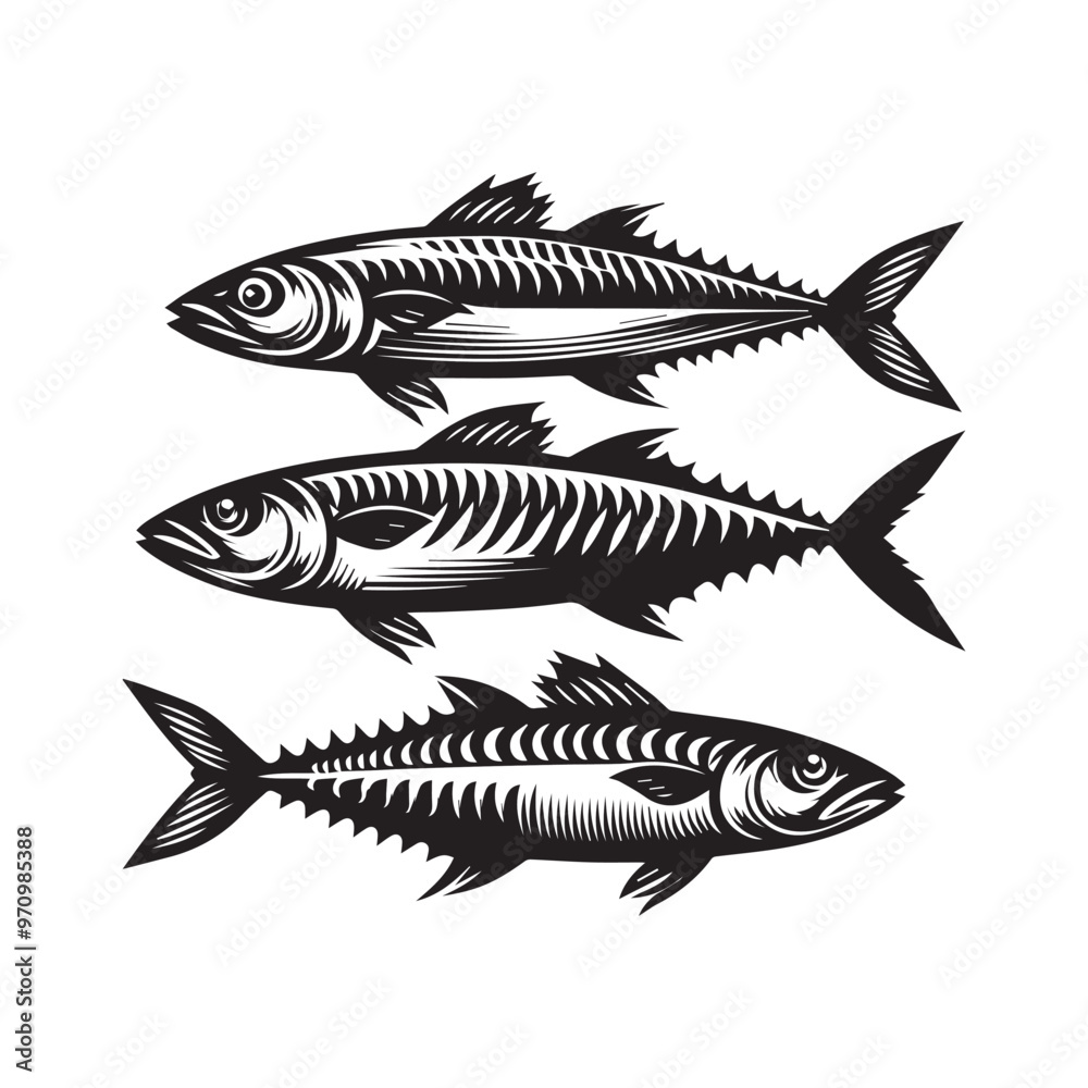 Creative Set Of A Fish Vector Design. Creative Set Of A Fish Vector Design.