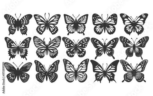 silhouette of butterflies set- vector illustration on a white background.