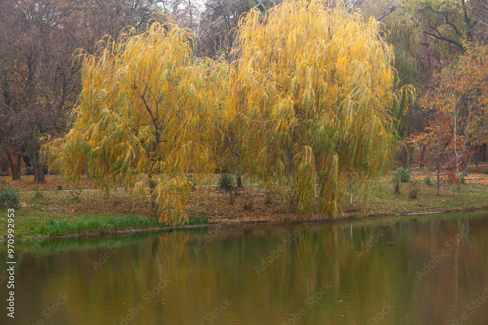 Autumn park with a lake and yellowing trees. Autumn park with a lake and yellowing trees.