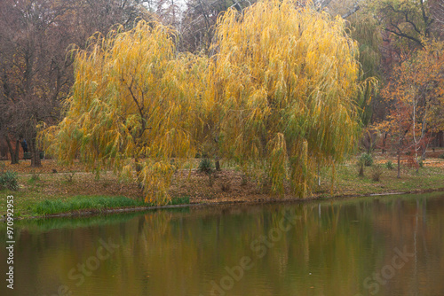 Autumn park with a lake and yellowing trees.