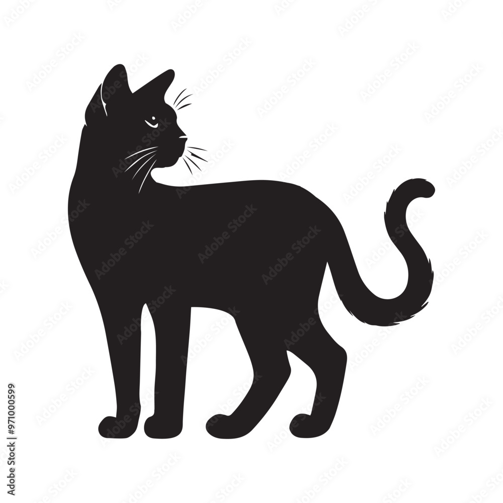 Obraz premium Korat cat silhouette Clipart - Cat Vector illustration in black and white 