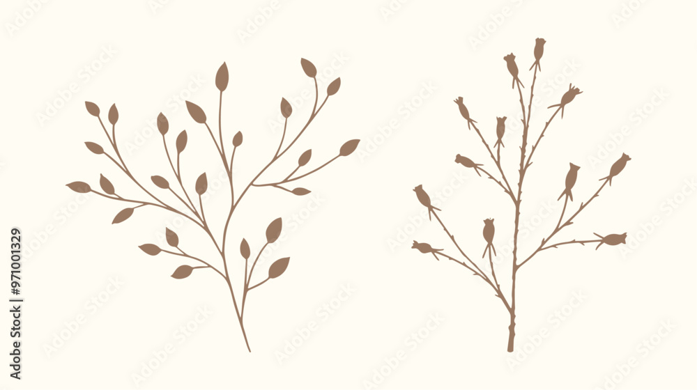 Vector silhouettes of brunches in hand-drawn style. Subtle decorative botanical elements Vector silhouettes of brunches in hand-drawn style. Subtle decorative botanical elements