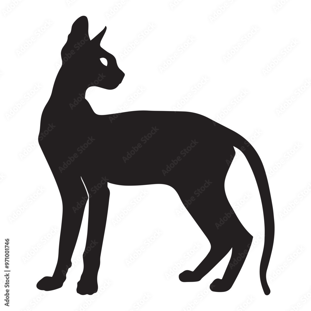 Oriental Shorthair cat silhouette Clipart - Cat Vector illustration in black and white
Oriental Shorthair cat silhouette Clipart - Cat Vector illustration in black and white