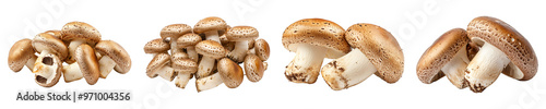 Set, collection of Brown mushrooms isolated on transparent background.