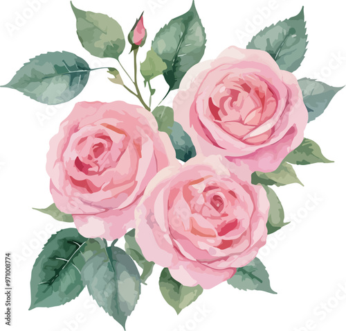 beautiful Watercolor flowers Simple pink rose, vector illustration