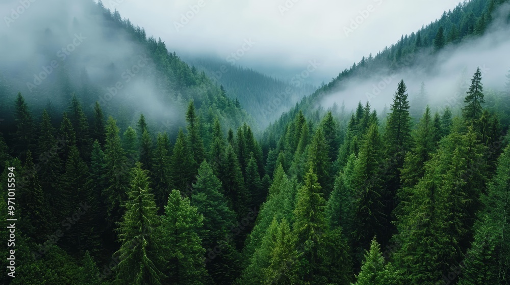 Explain how this serene mountain and forest landscape could inspire eco-tourism campaigns that promote reconnecting with nature, Explain how this serene mountain and forest landscape could inspire eco-tourism campaigns that promote reconnecting with nature,
