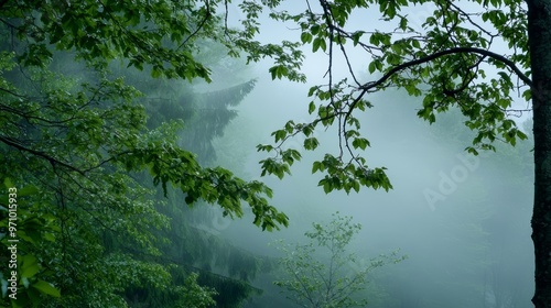 How can the interplay of green forests and foggy air inspire a meditation on the balance between clarity and obscurity in life,