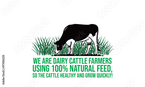  dairy cattle farm poster silhouette of young cow milk eating grass at field vector illustrations photo