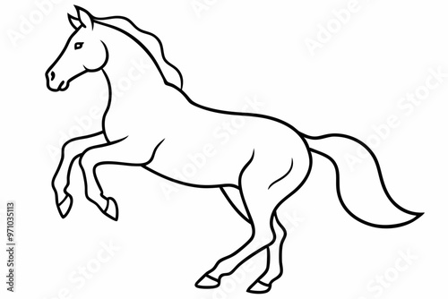 horse silhouette isolated on white