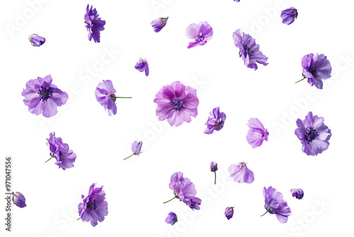 Floral spring vector illustration featuring blooming purple and pink flowers on a seamless pattern, perfect for nature-inspired design and decoration