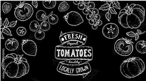 Tomatoes frame. Hand drawn illustration. Tomato vegetable sketch. Organic tomato design template. Vector illustration. Package design elements
