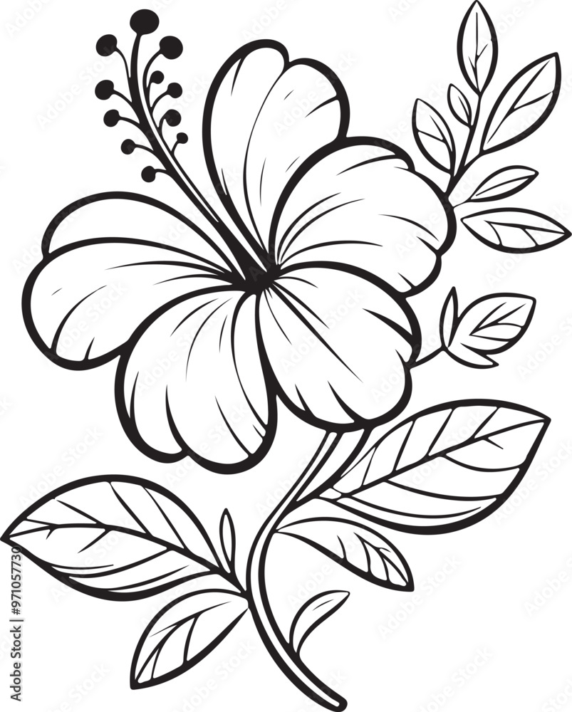 Hibiscus Flower Outline Sketch - Black and White Line Art.