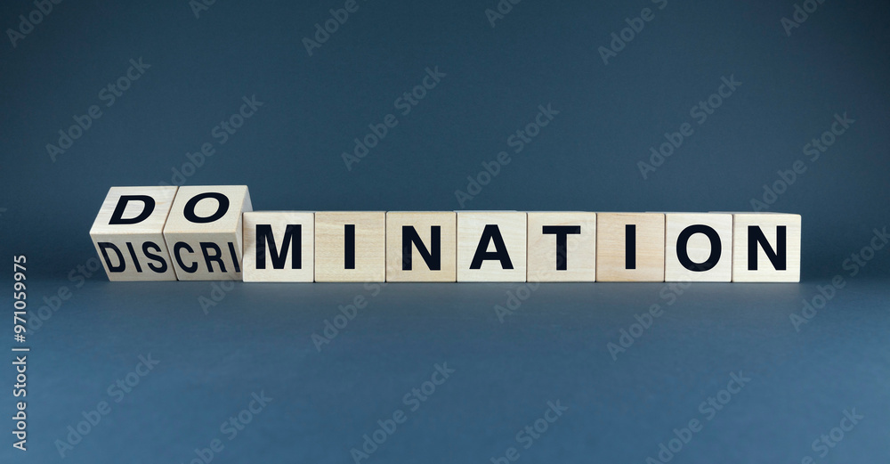 From Discrimination to Domination: A Power Struggle From Discrimination to Domination: A Power Struggle