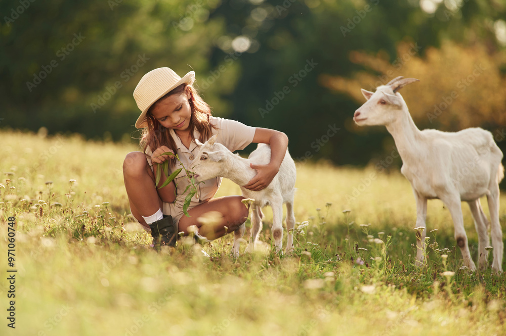 Fototapeta premium Sitting on the ground. Little girl is on the field with goats