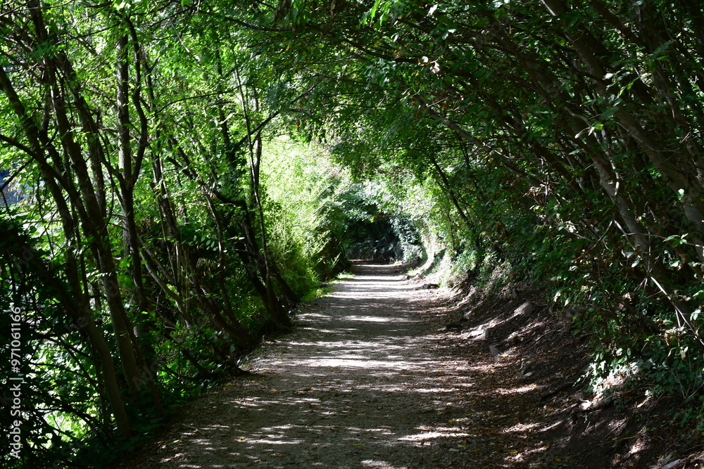 Ein Wanderweg bei Lana in Südtirol