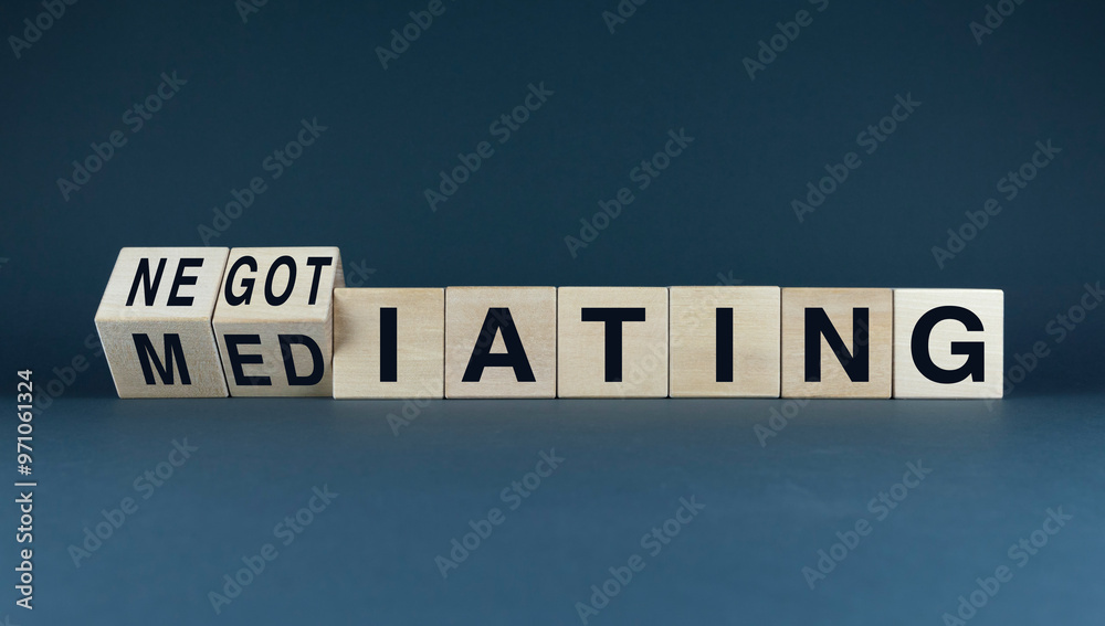 Obraz premium Negotiating the Middle Ground: The Role of Mediation