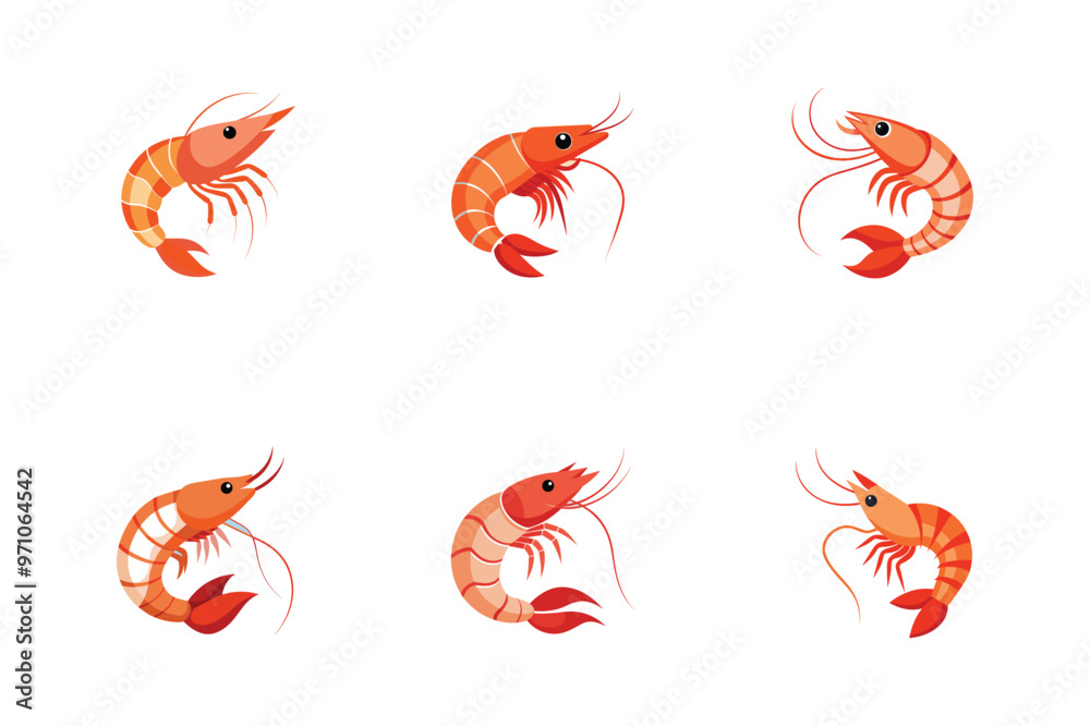 set of shrimp shrimp, white background, simple illustration, isolated, playful design set of shrimp shrimp, white background, simple illustration, isolated, playful design