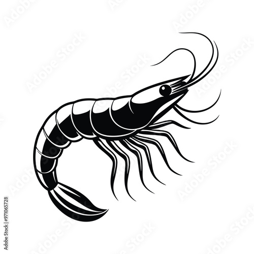 Shrimp illustration, black and white, stylized design, vector art, isolated on white background, detailed line work