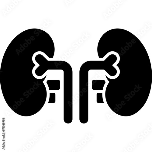 Kidneys Icon