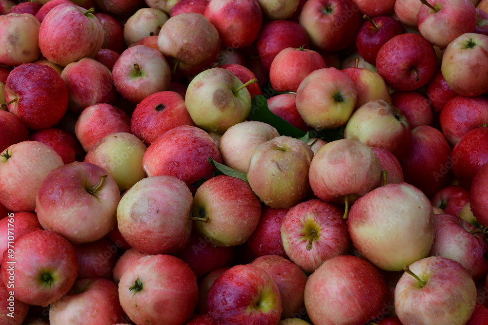 Rote Äpfel nach der Ernte