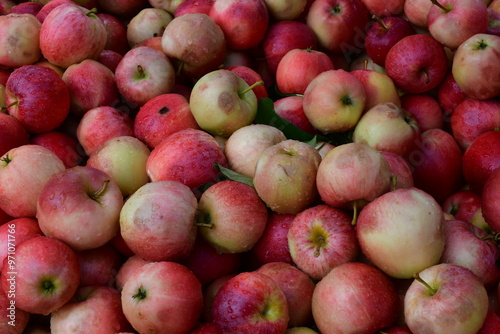 Rote Äpfel nach der Ernte
