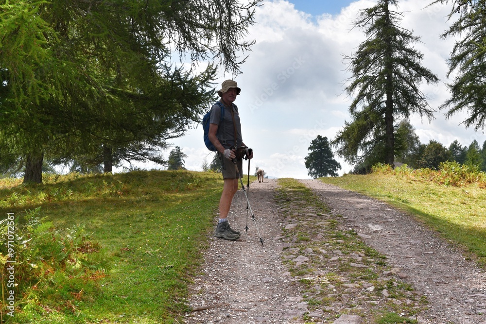 Mann wandert auf dem Salten in Südtirol