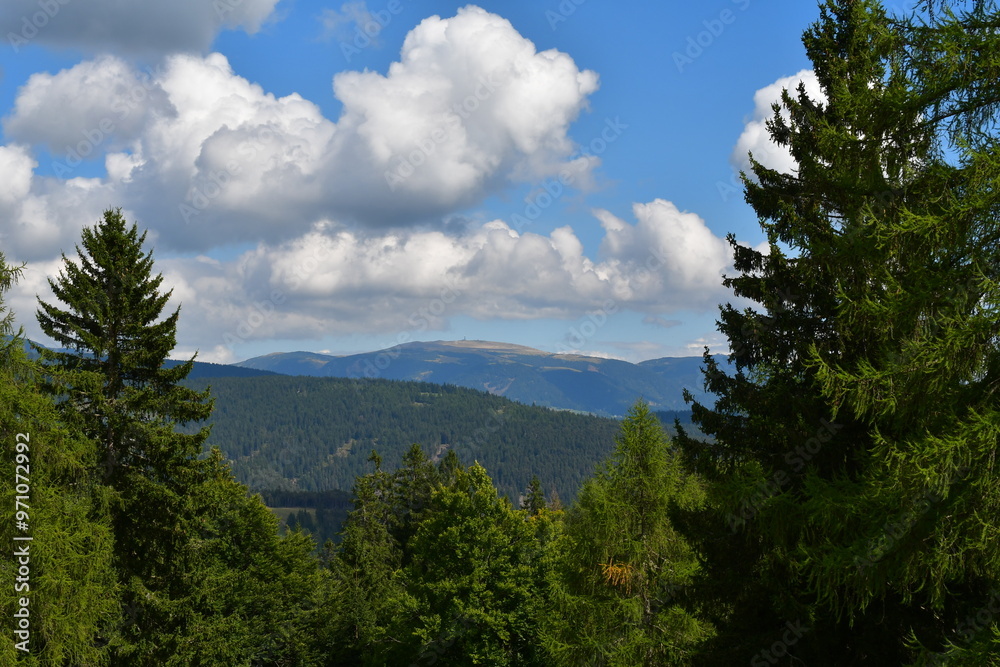 Schöne Landschaft auf dem Salten in Südtirol