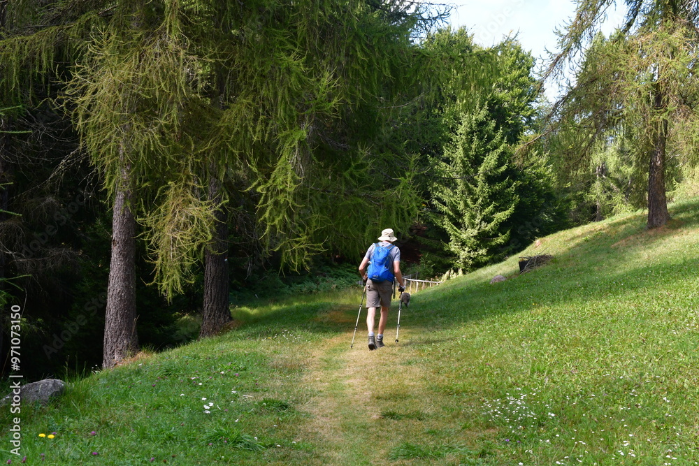 Mann wandert auf dem Salten in Südtirol