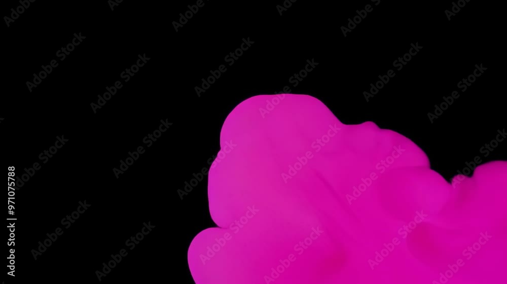 Abstract Art A Blossom of Color Abstract Art A Blossom of Color
