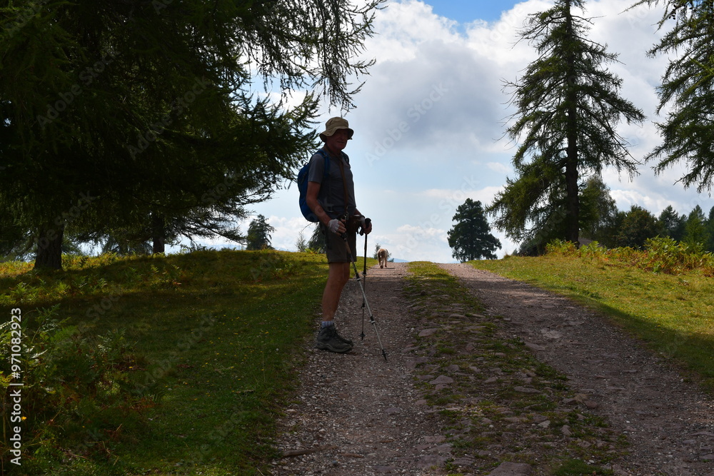 Mann und sein Lagotto Romagnolo Hund wandern auf dem Salten in Südtirol
