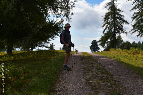 Obraz na płótnie Mann und sein Lagotto Romagnolo Hund wandern auf dem Salten in Südtirol w salonie