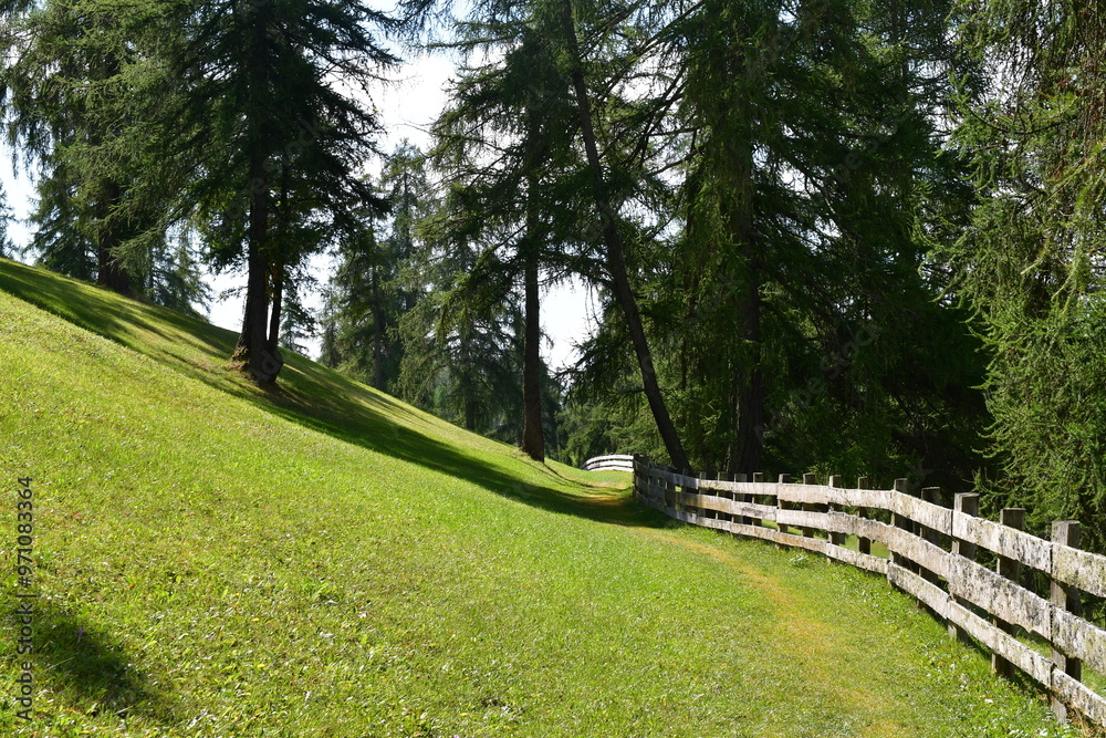 Schöne Landschaft auf dem Salten in Südtirol